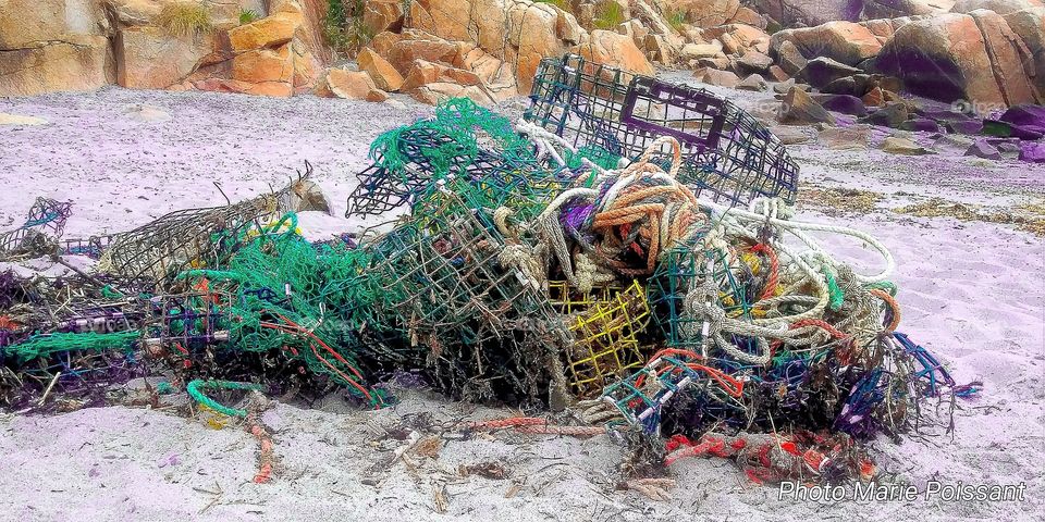 tangled net on beach