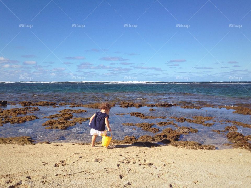 Exploring at the Beach