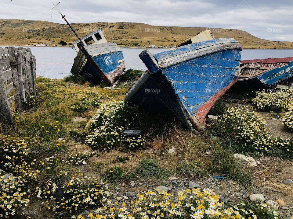 Stranded boats