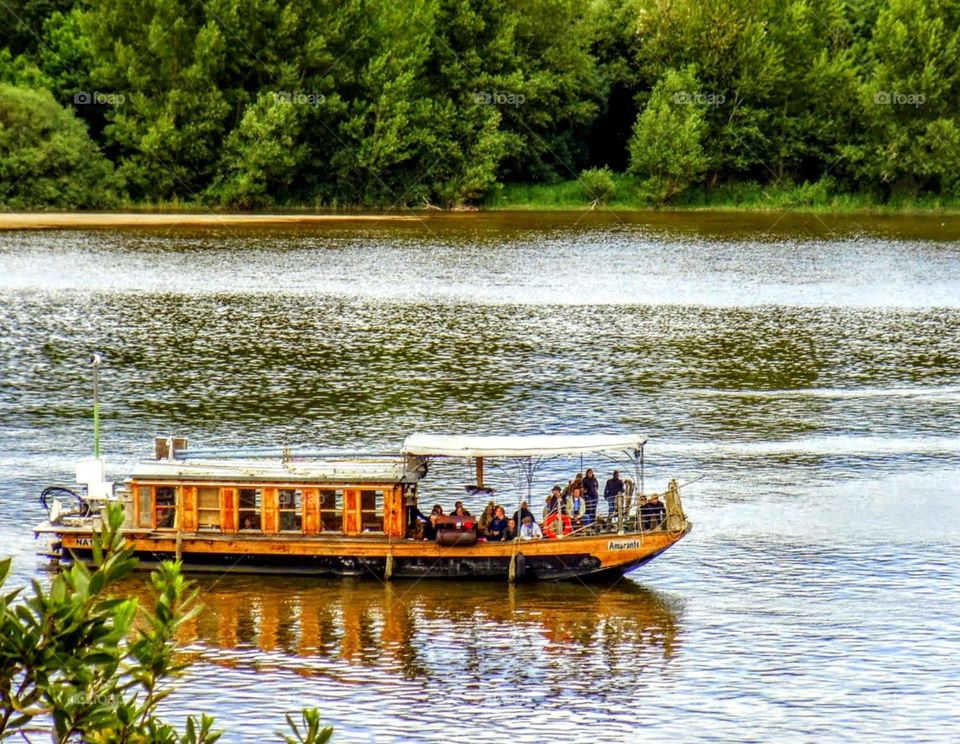 Ferry-boat on the Loire