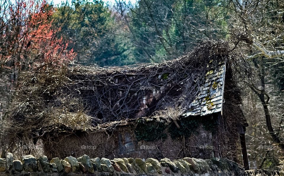 Abandoned Barn