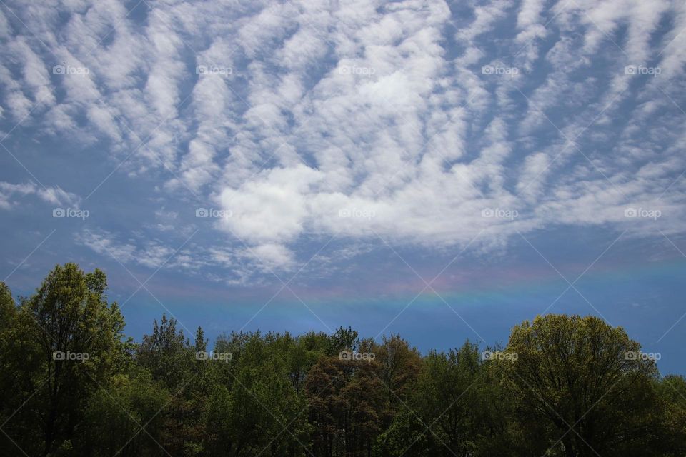 Clouds with Circumzenithal arc