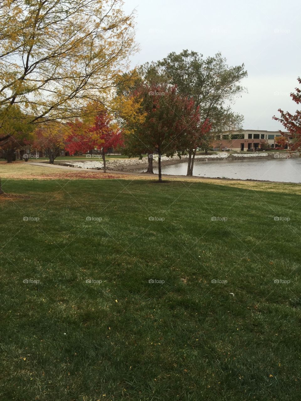 Fall on the Lake . Picture of the leaves changing around a small lake on Nebraska
