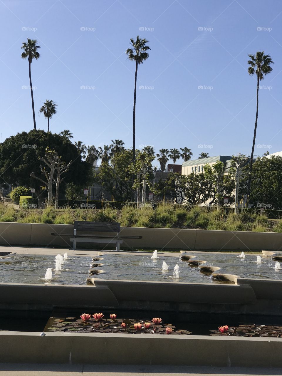 Tree, Travel, Water, Vehicle, Landscape