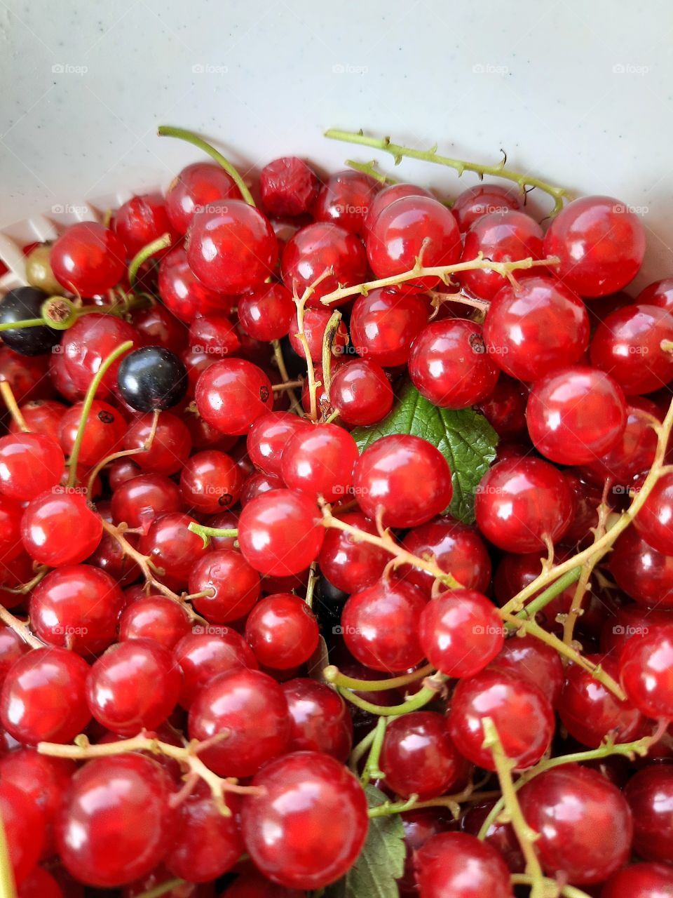 close-up of red currant in white drainer