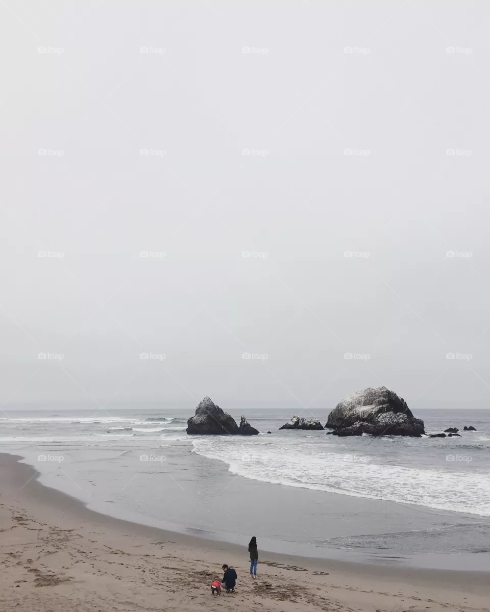 SF. 