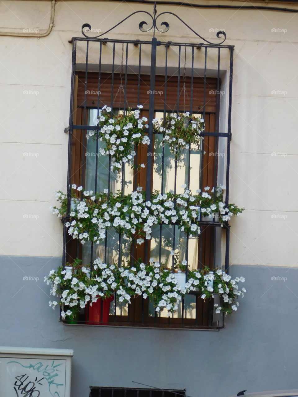Fenêtre fleuris d’Espagne 