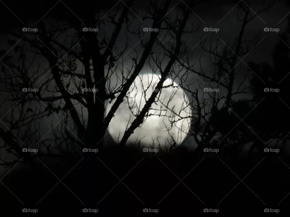 Full moon