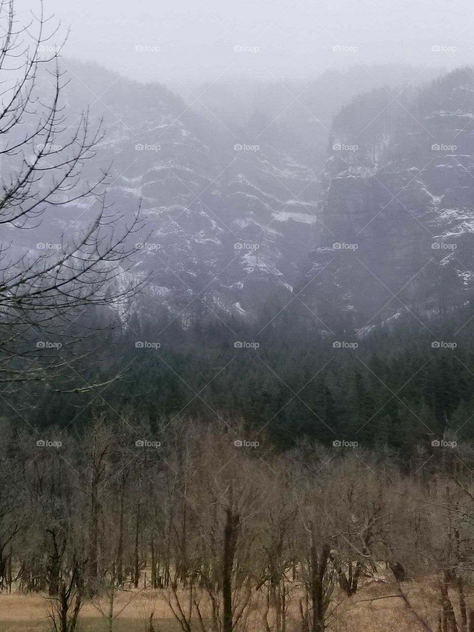 Cascades in the winter
