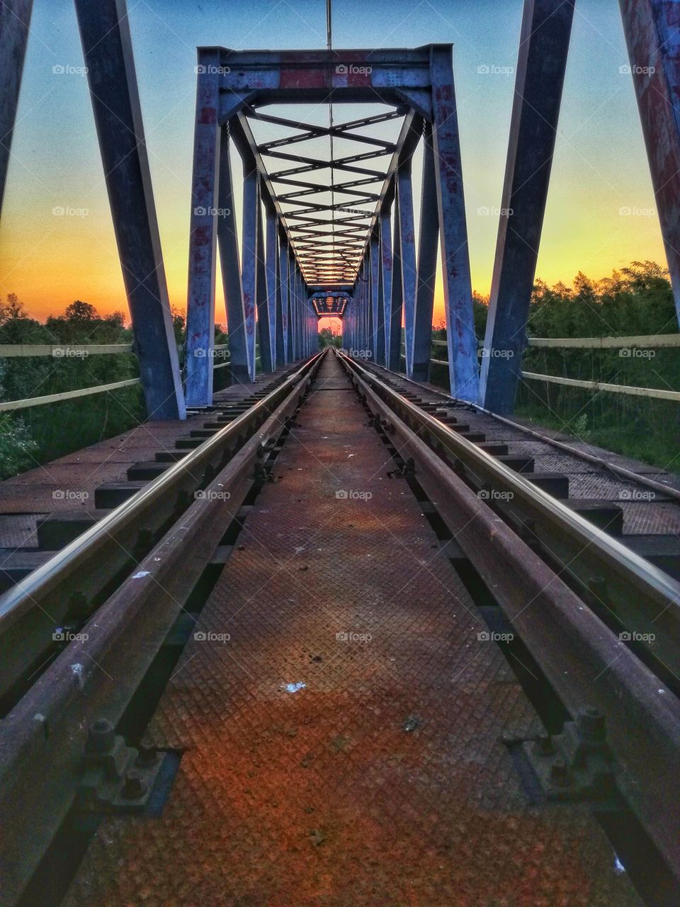 bridge train