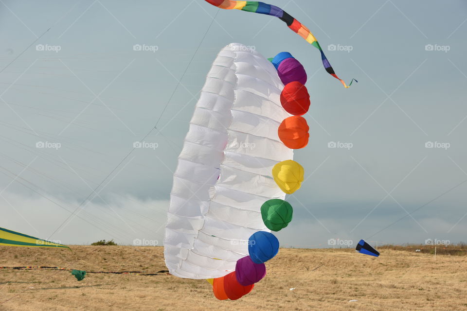 Kite in the wind
