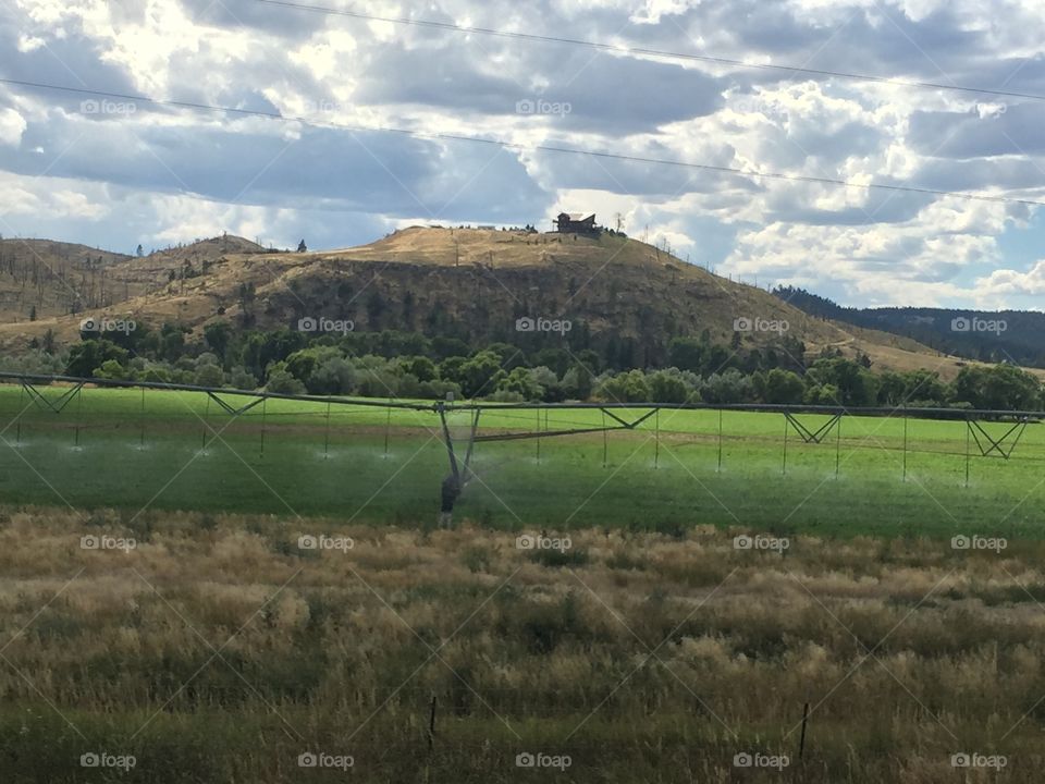 Landscape, Agriculture, Tree, Farm, Cropland