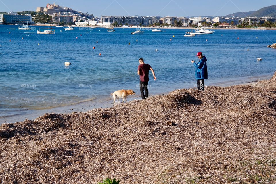 Walking with the dog on the beach 