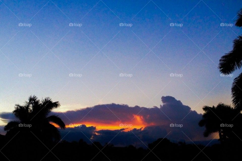 Feather cloud