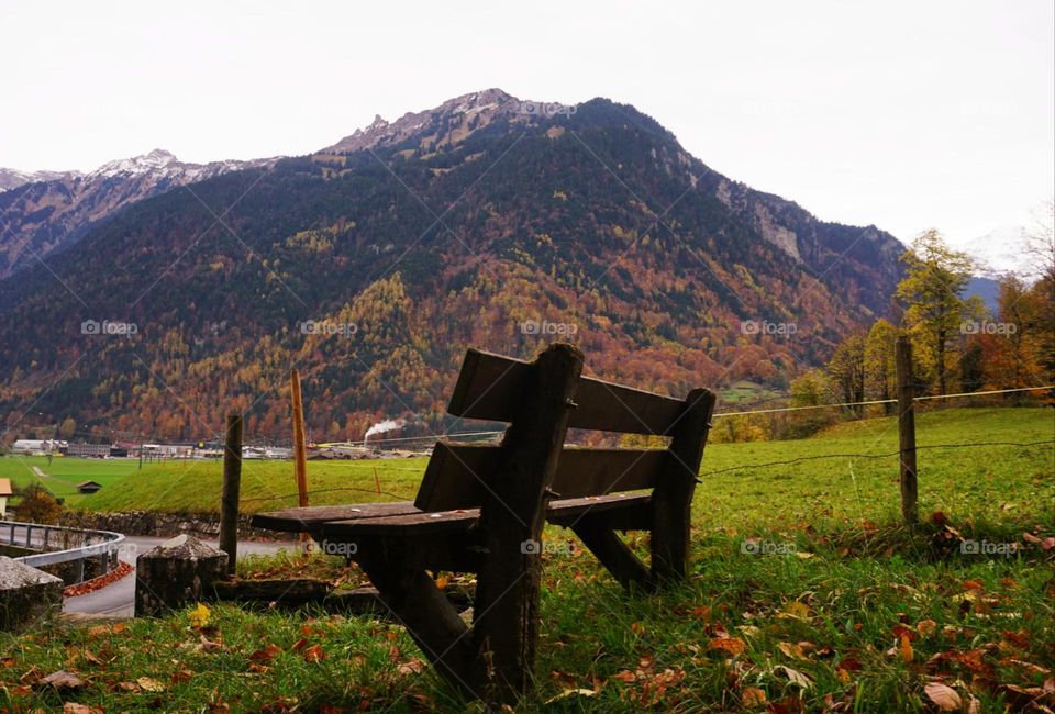 Autumn#colors#leaves