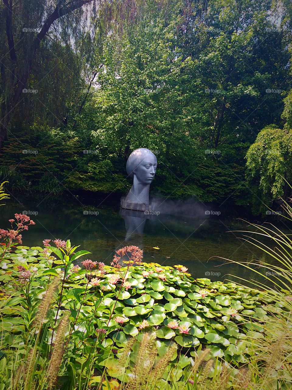 Leucantha . Grounds for Sculpture 