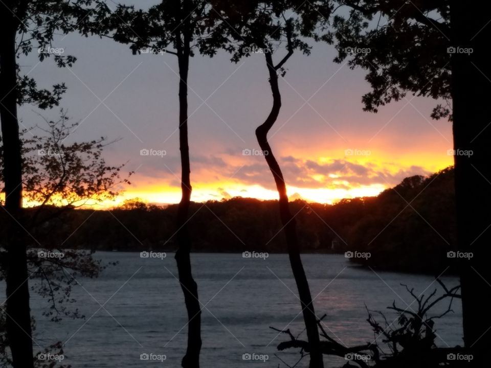 Sunset and tree silhouettes