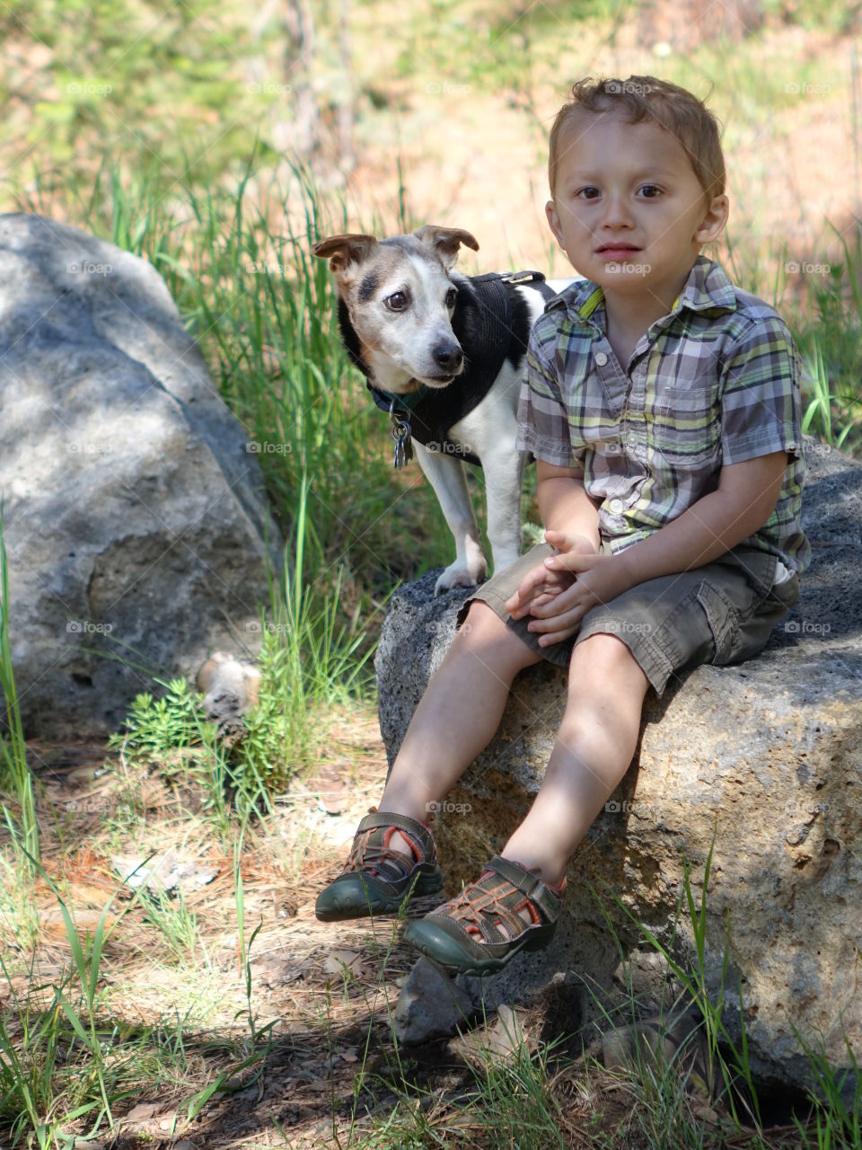 A little boy and his little Jack Russell Terrier sit on a giant boulder in the forests of Central Oregon on a sunny summer day. 