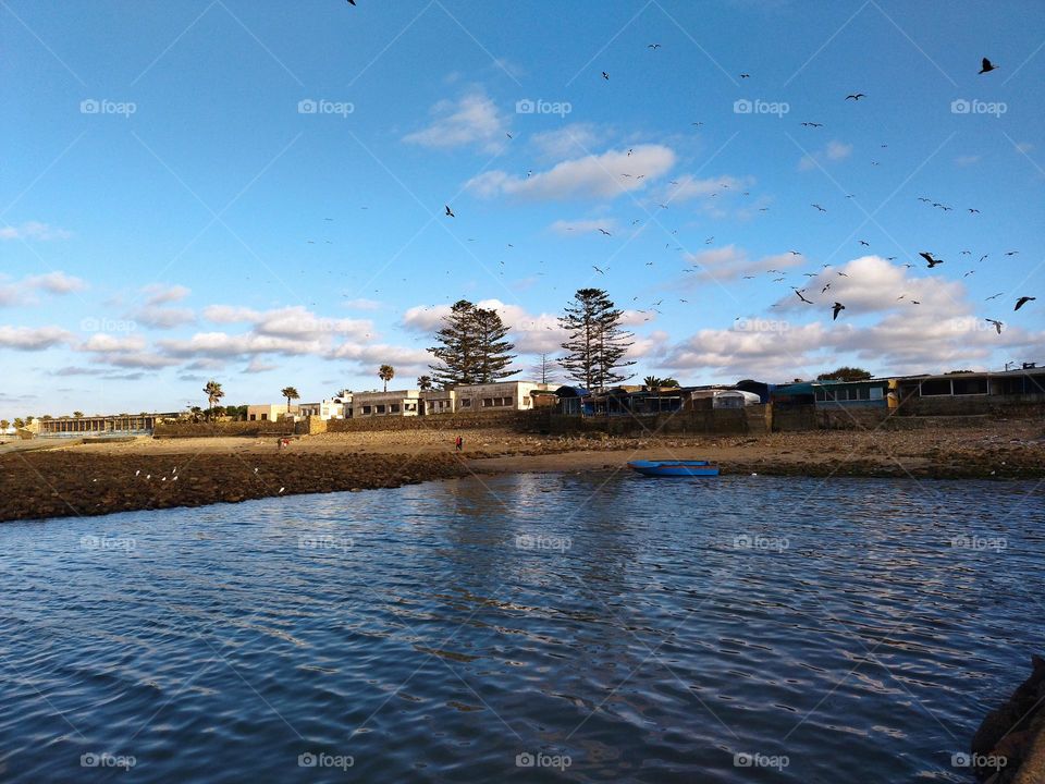 Water and beach and house