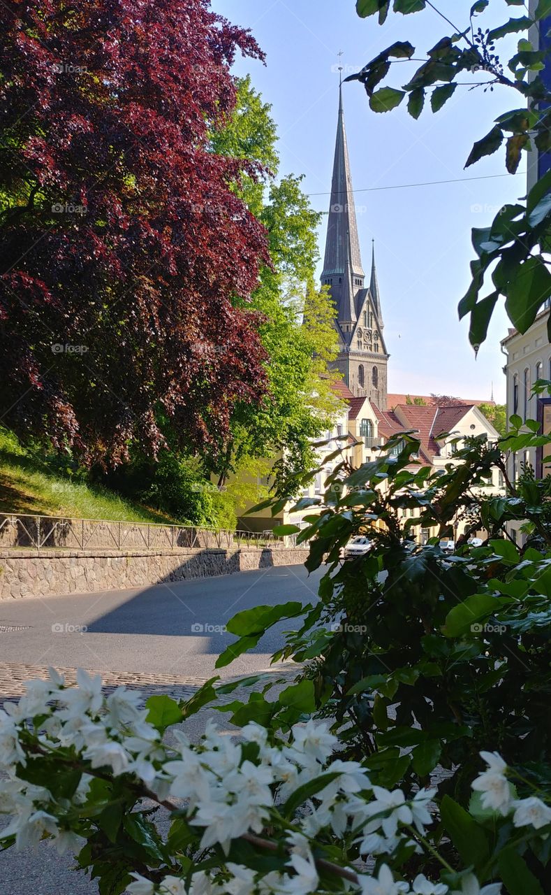 Kirche stadt Blumen blüten Straße steine wweg baum sommer frühling