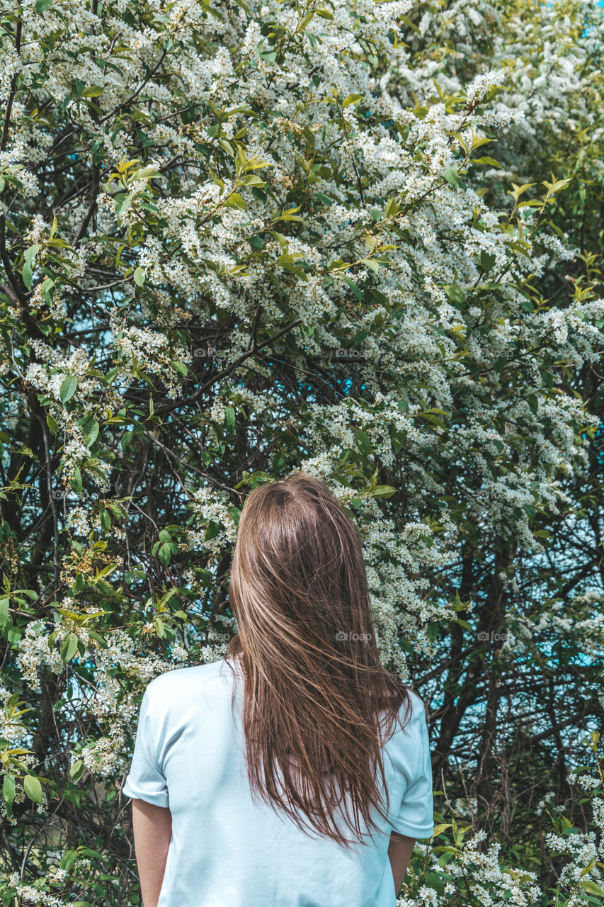 young woman in front of the bird cherry tree, back view