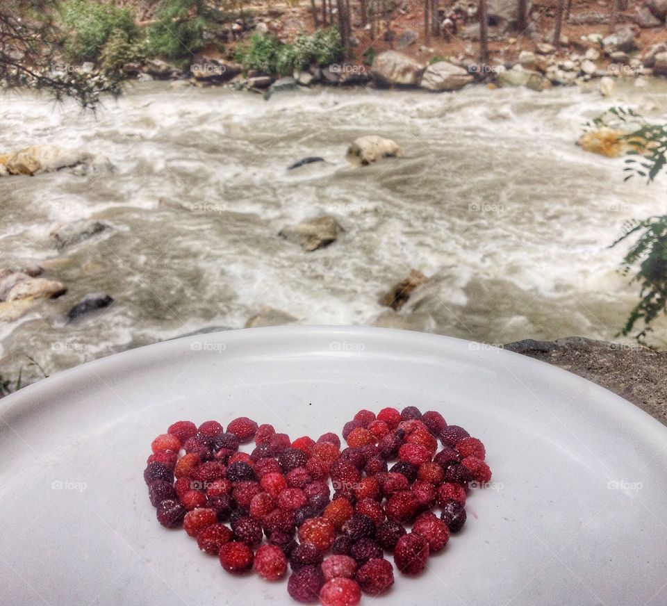 Berries of Himachal.