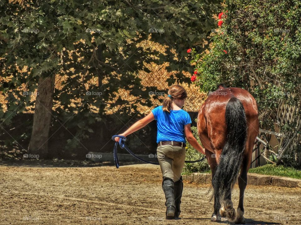 Young Girl With Horse