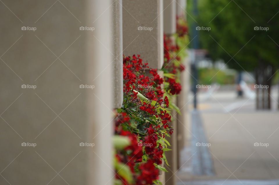 Outside the Reds Hall of Fame building. ❤️