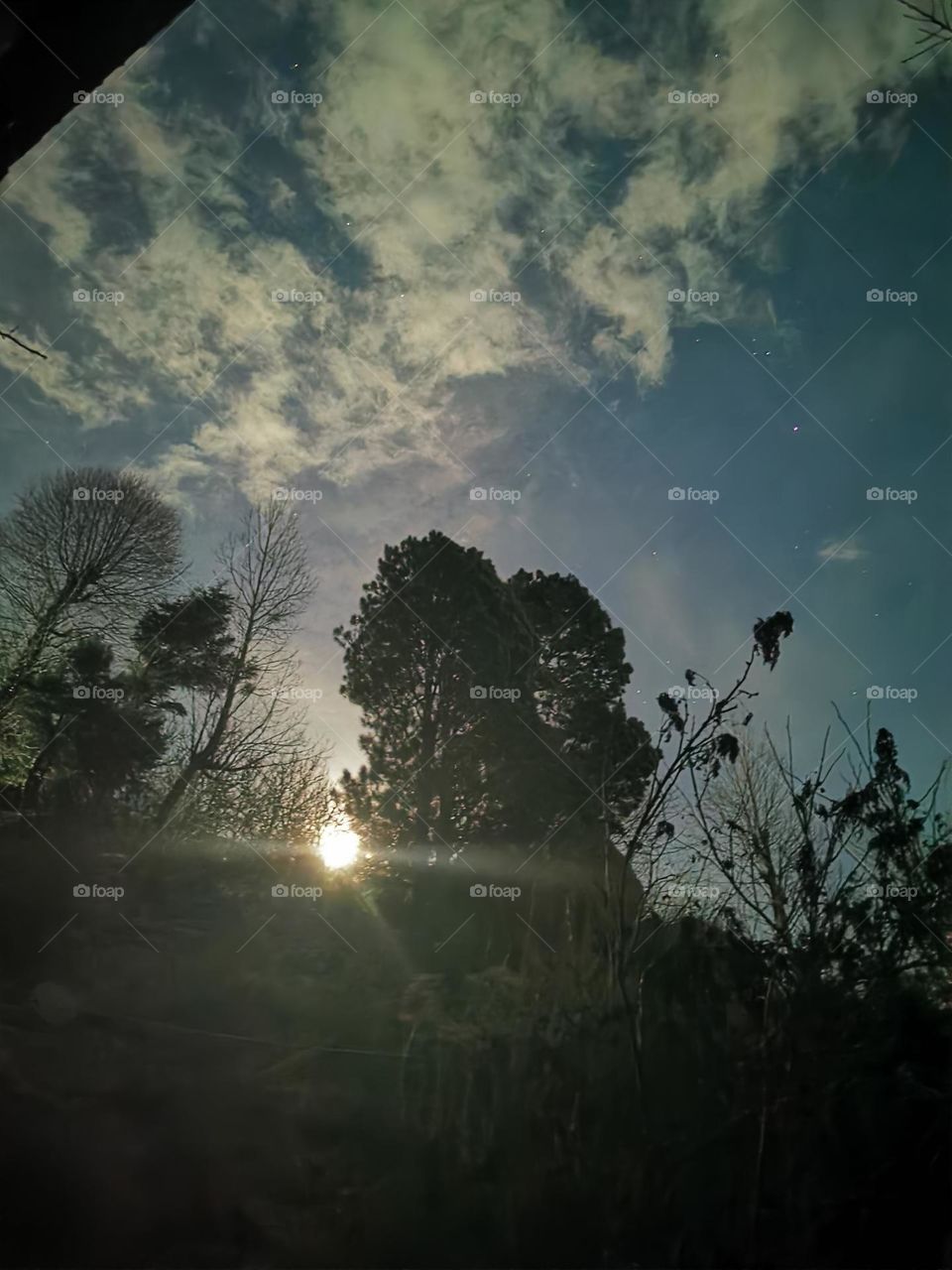 feel the coolness of night embracing