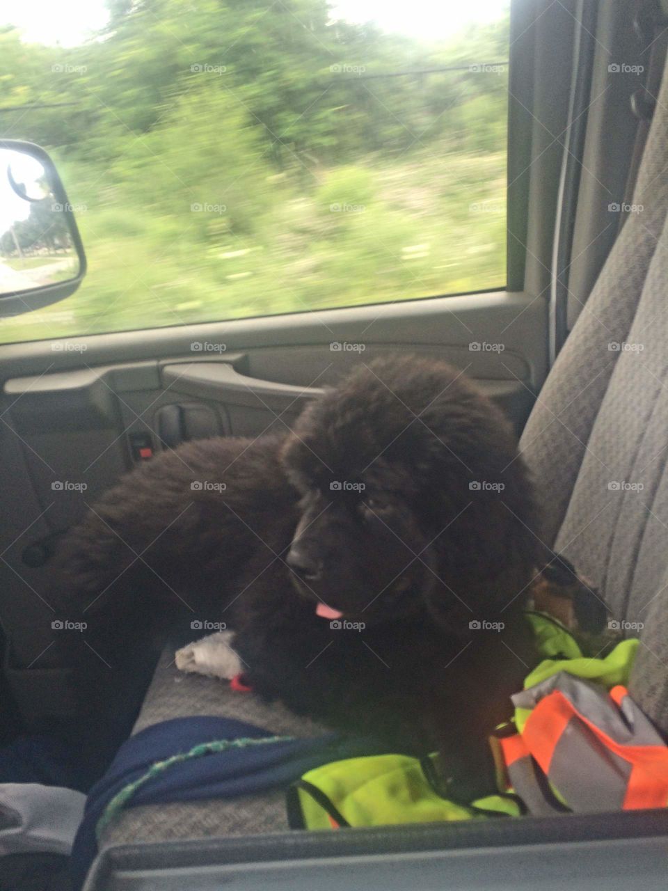 Car, Vehicle, Transportation System, Travel, Vehicle Window