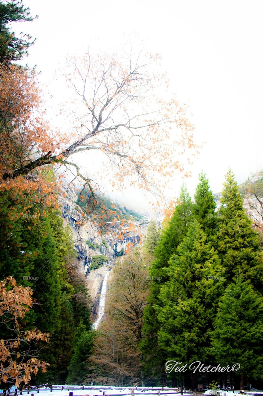 lower Yosemite fall