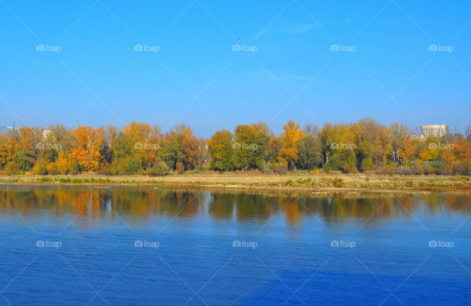 Lake, Fall, No Person, Water, Tree