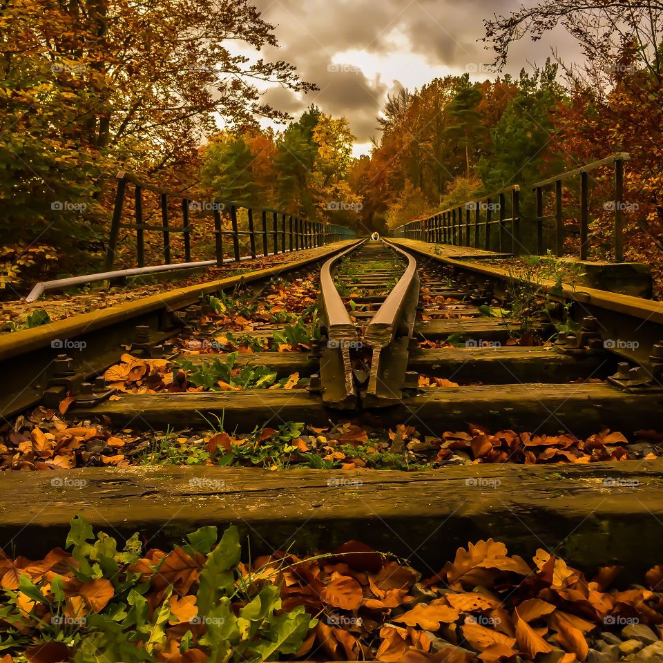 Fall, Bridge, Locomotive, No Person, Travel