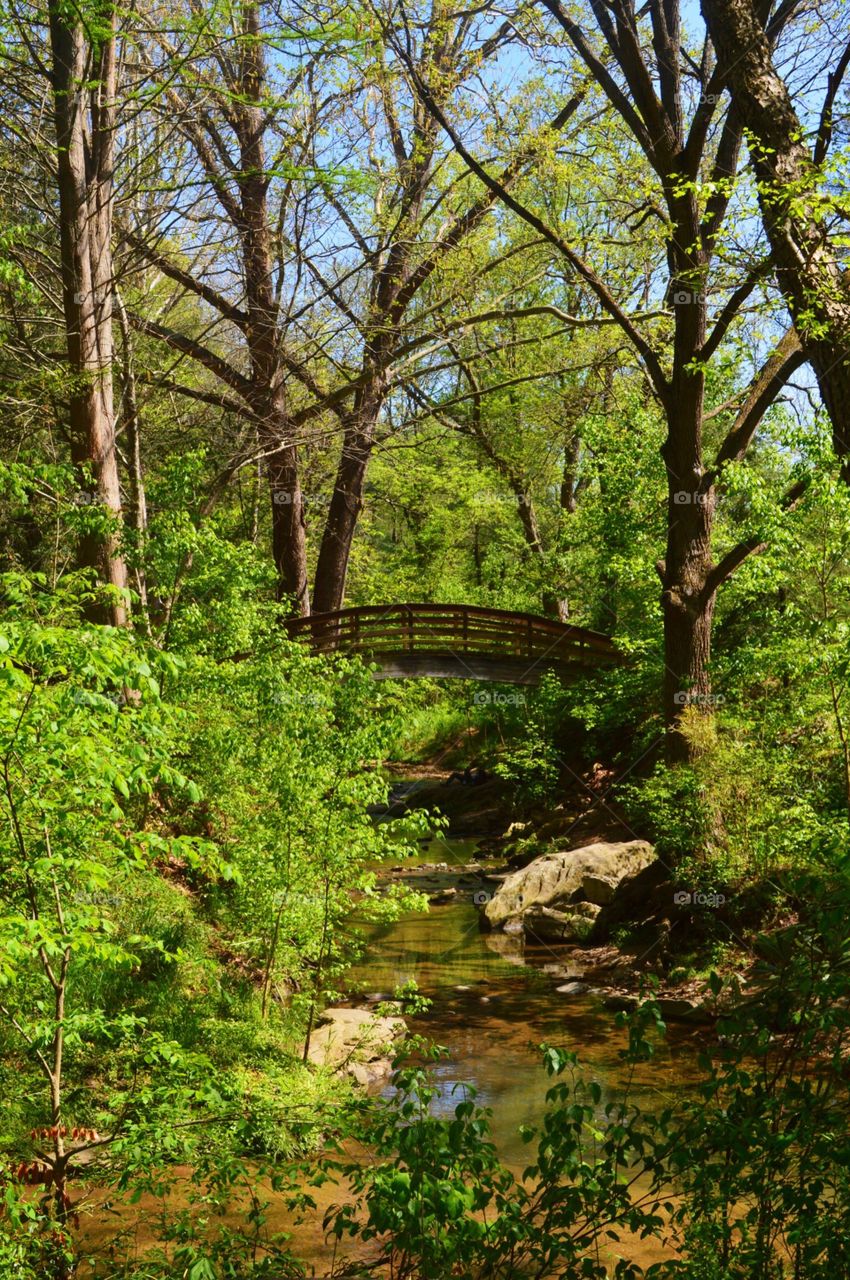 Beautiful green bridge over a rocky stream 