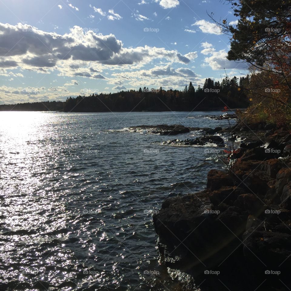 And outside of the woods there was water. 