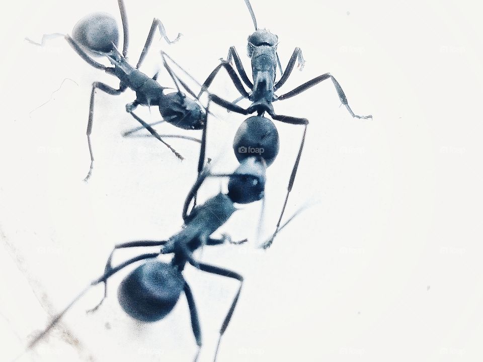 We're in meeting Room