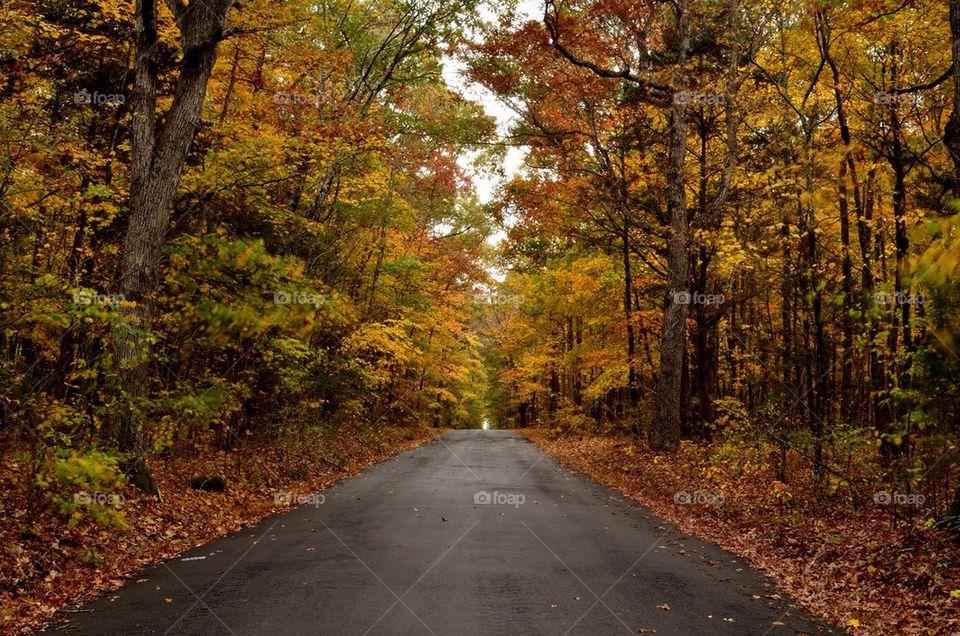 View of empty road