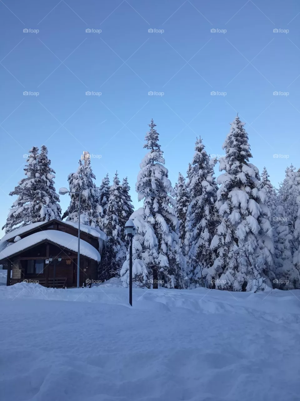 Mountain House