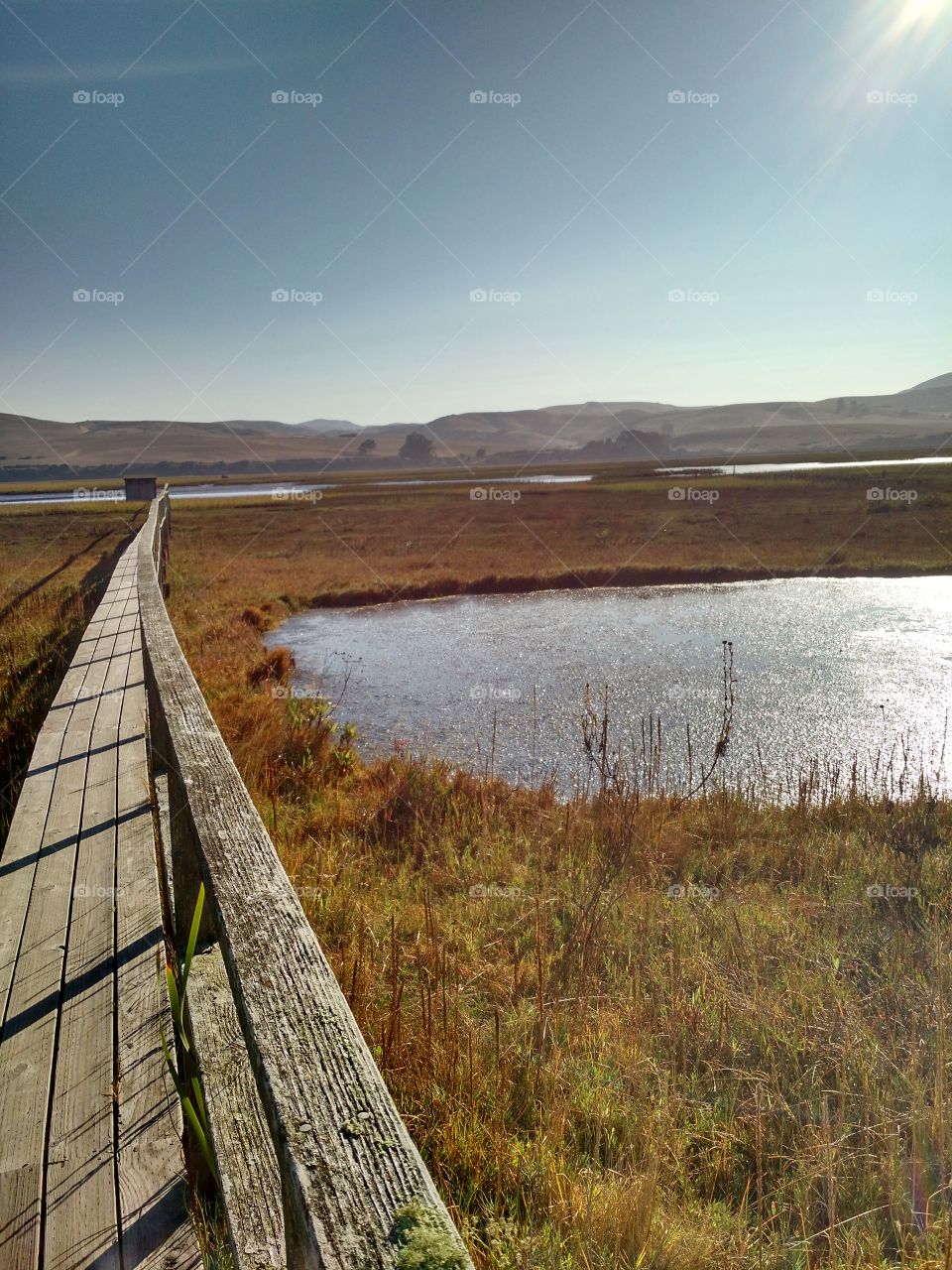 Inverness Boardwalk. Tomales Bay