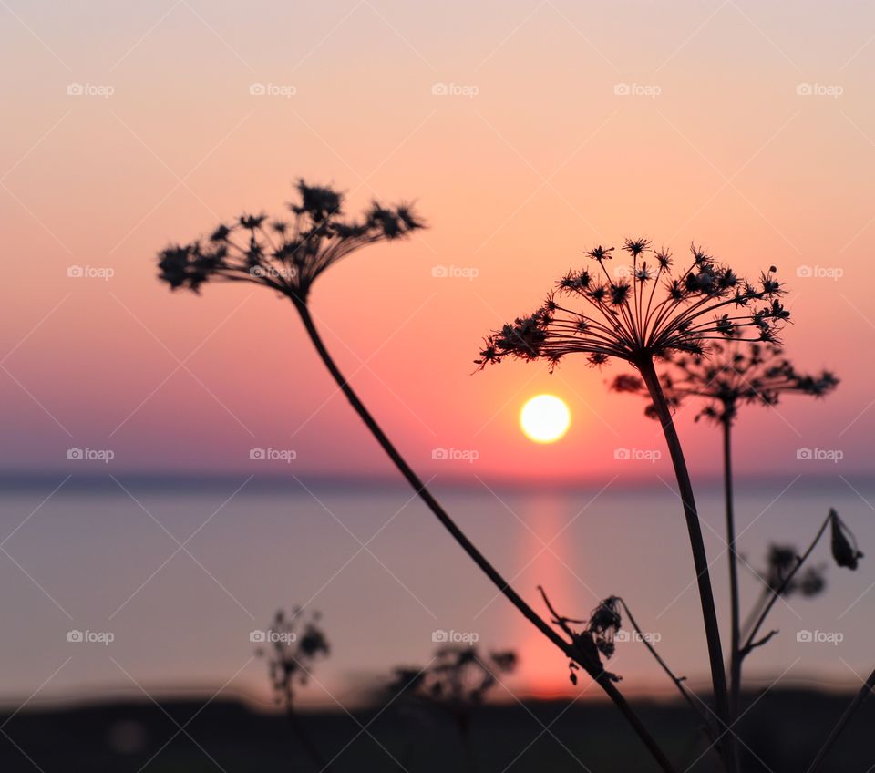 sunset over the lake 