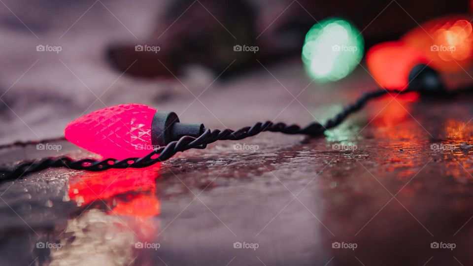 Warm macros and Christmas lights.