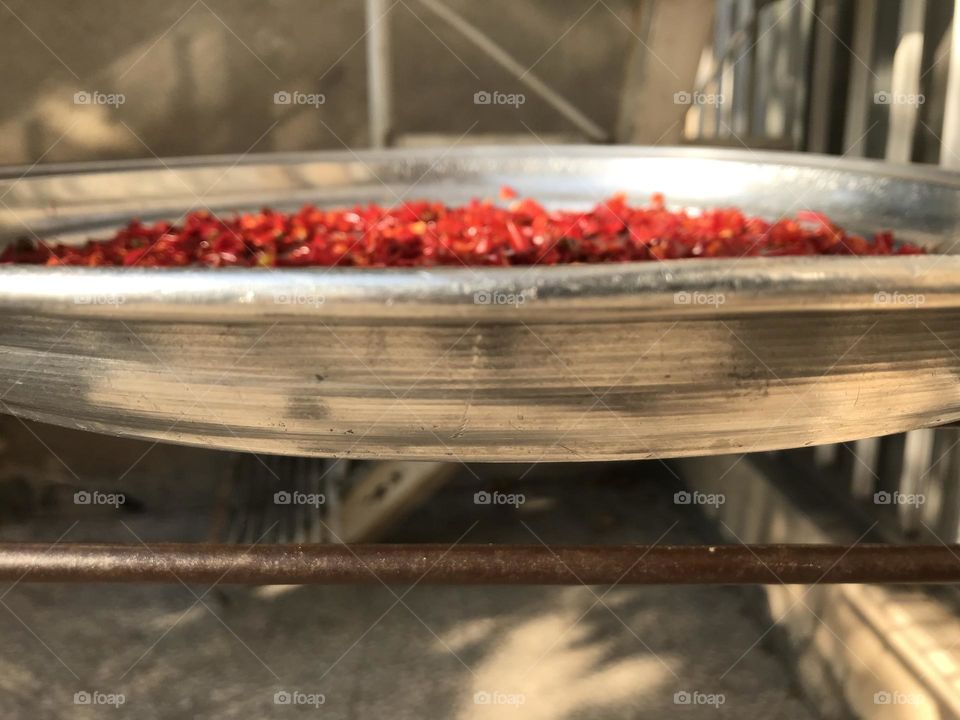 Are these a handful of red bell peppers waiting to dry up or a school of free red fishes swimming in silver waters? Where is the borderline between reality and fantasy, between despair and hope?