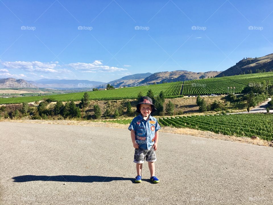 Toddler smiling at vineyard in Oliver, British Columbia, Canada. 