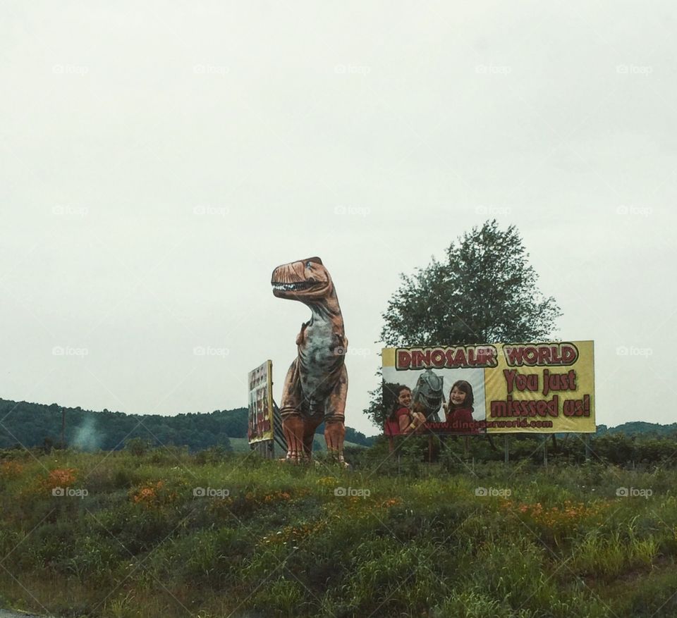 Summer memories of Dinosaurs that mechanically roam Florida 
