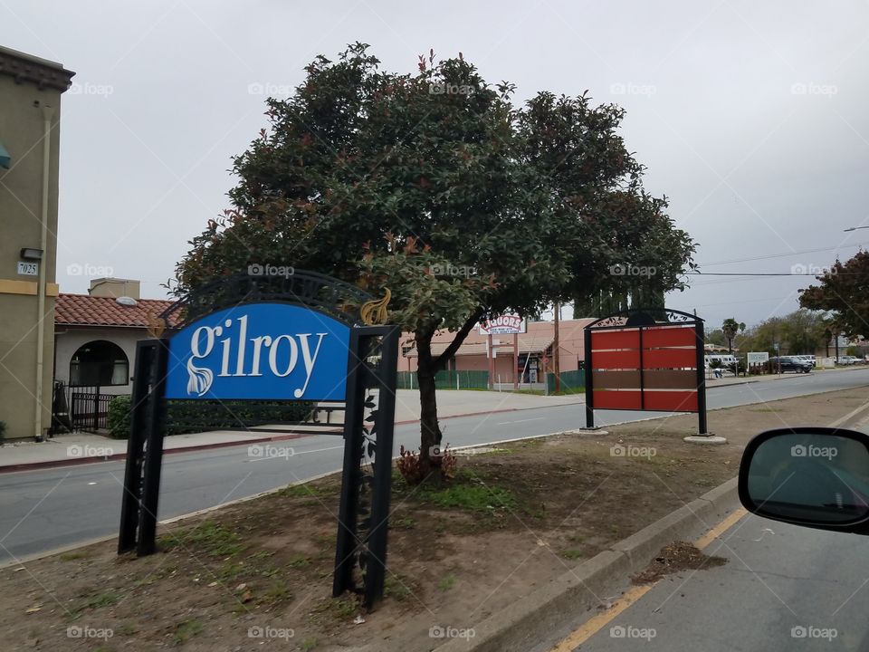 Welcome to Gilroy