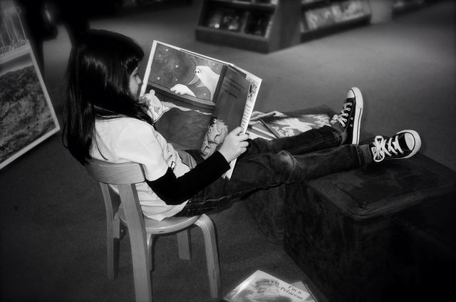THE READER