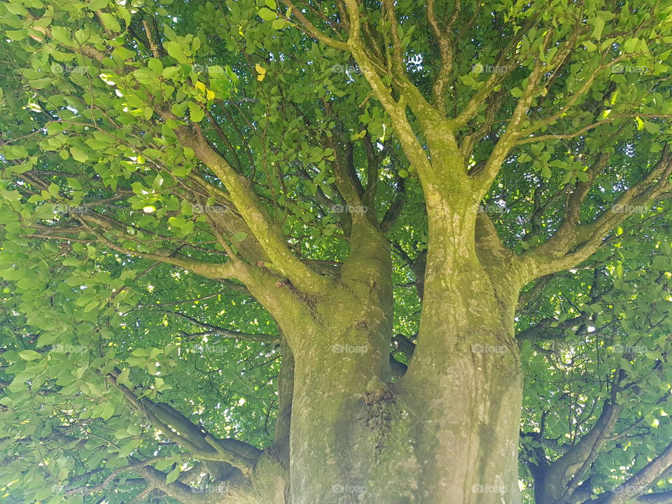 Nice shots in a nice day