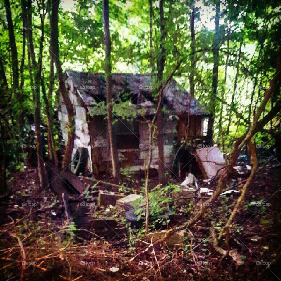 wooded dwelling