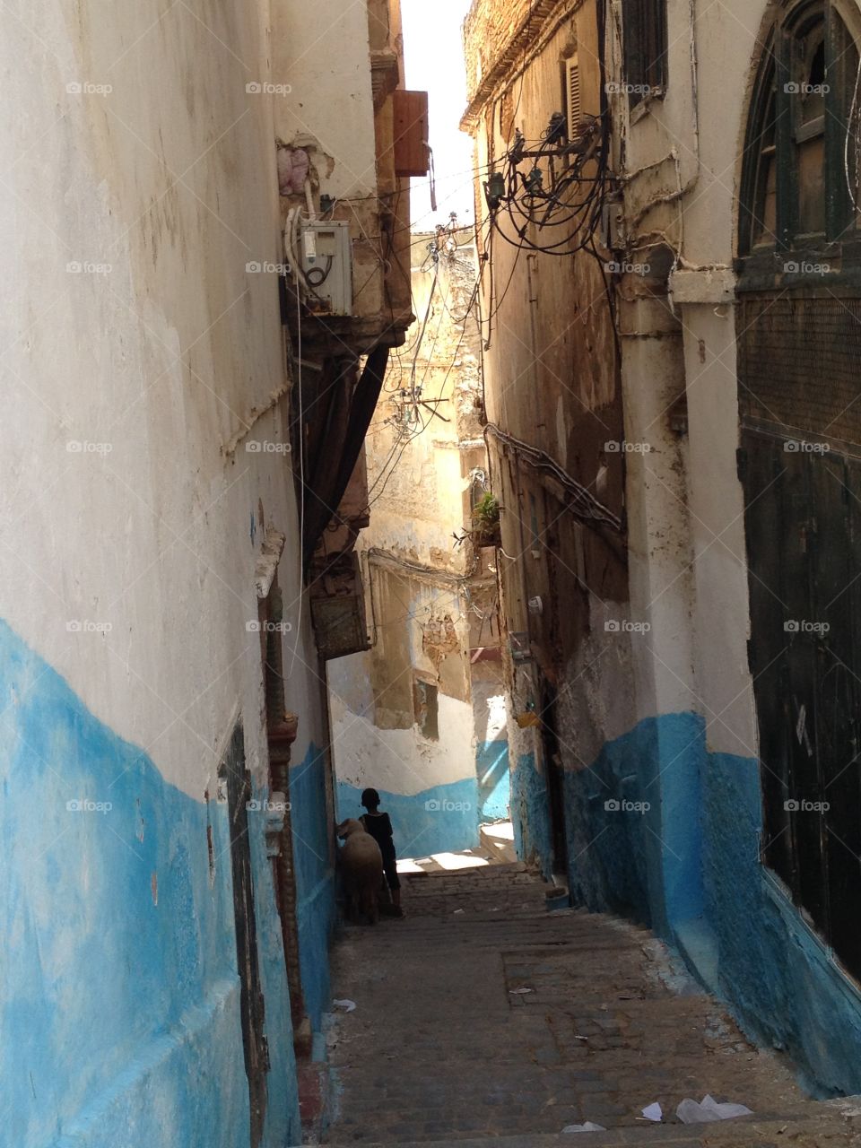Alleys of Algiers