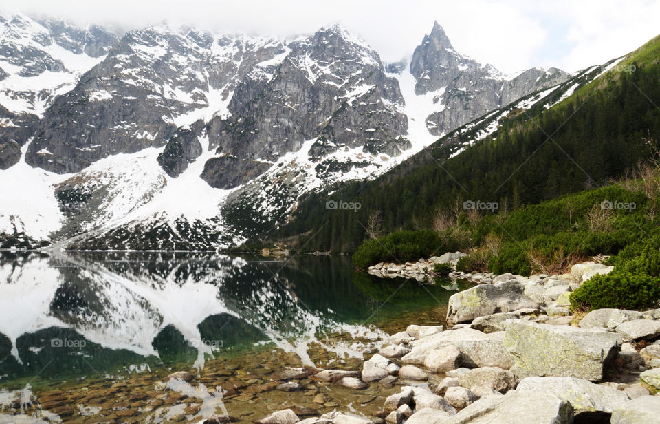 Rocky mountains and forest reflected on lake